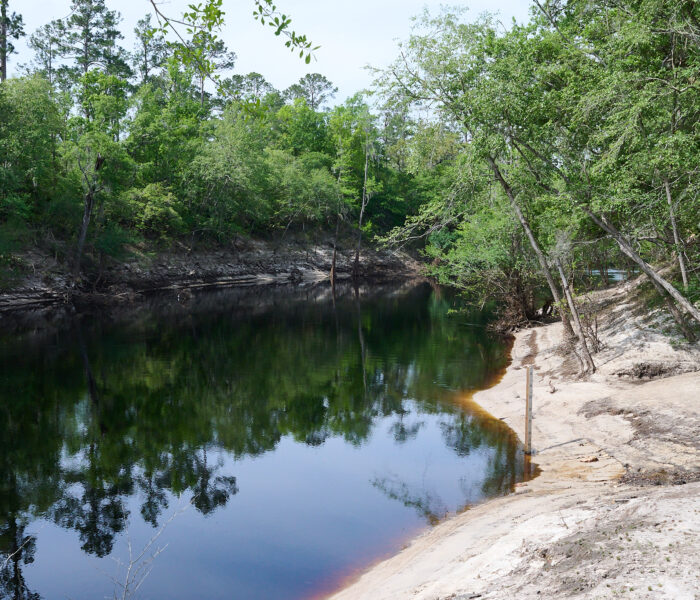 Way Down Upon The Swanee River