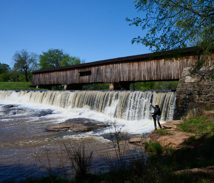 Covered Bridge and Wildflowers